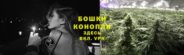 сатива Саяногорск