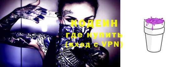 твердый Сатка