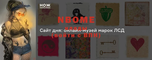твердый Сатка