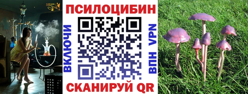 как найти закладки  Красноперекопск  Галлюциногенные грибы GOLDEN TEACHER 