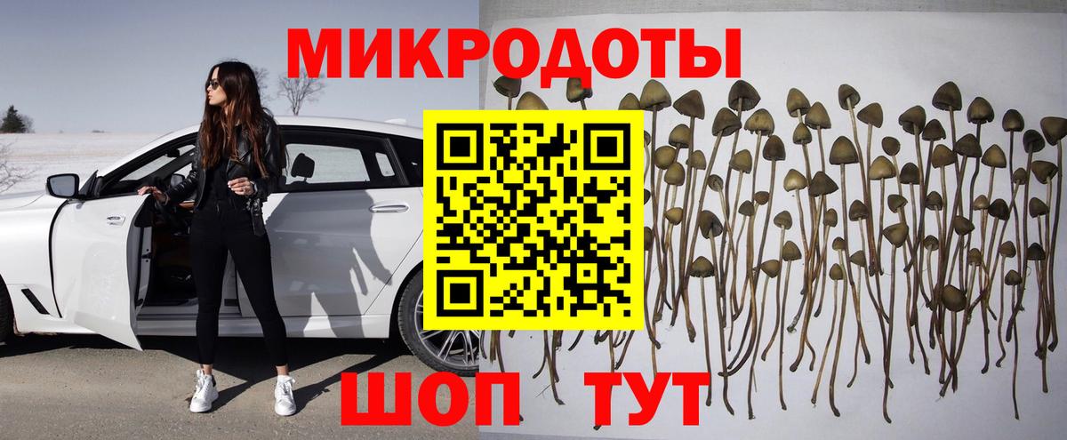 Псилоцибиновые грибы мухоморы Красноперекопск