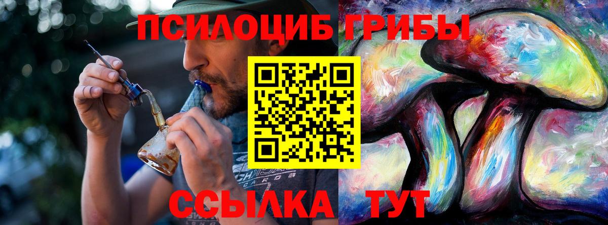Красноперекопск  Псилоцибиновые грибы мицелий  Вход с VPN 